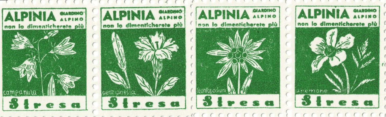 Alpina